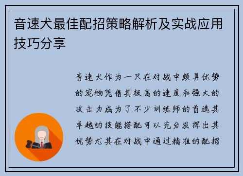 音速犬最佳配招策略解析及实战应用技巧分享