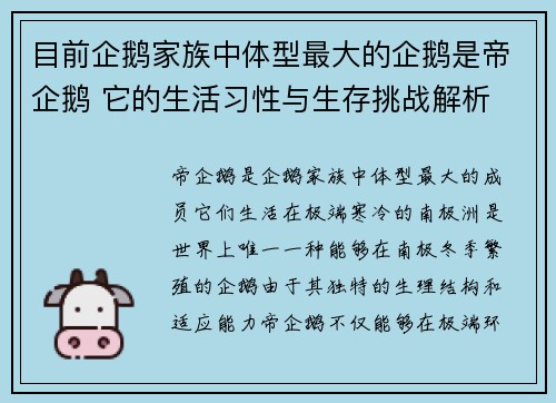 目前企鹅家族中体型最大的企鹅是帝企鹅 它的生活习性与生存挑战解析 目前企鹅家族中体型最大的企鹅是帝企鹅 它的生活习性与生存挑战解析
